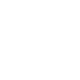 Capital preservation icon