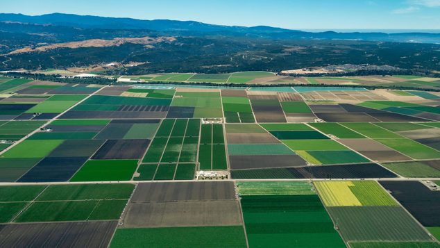 Nature, Outdoors, Field