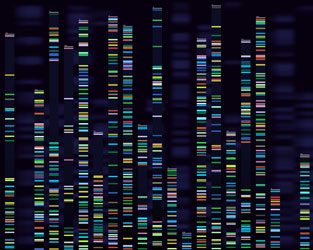 Episode 3: Gene Therapy: Cures, Risks and Opportunities