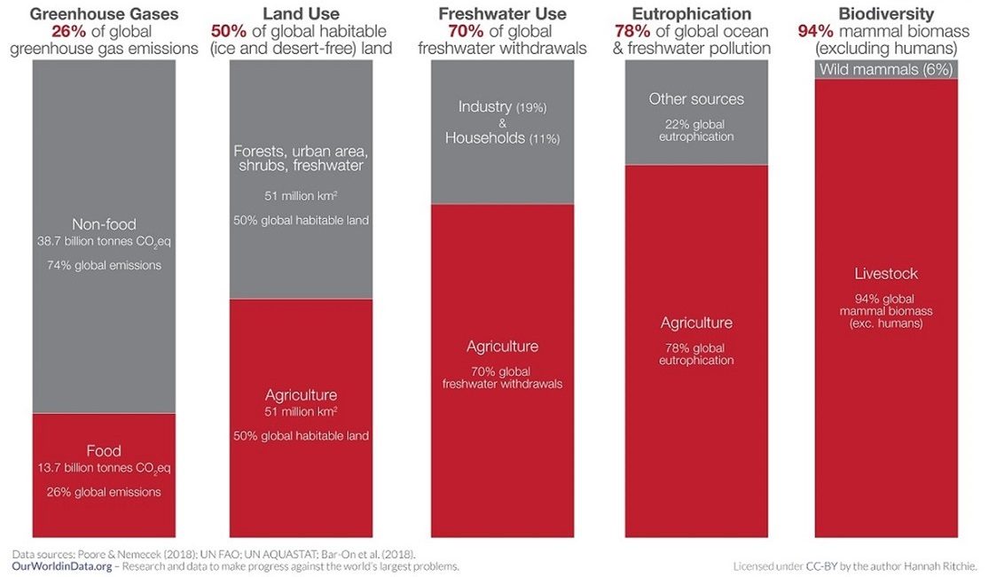What are the environmental impacts of food and agriculture