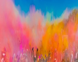 Colours of life – Holi