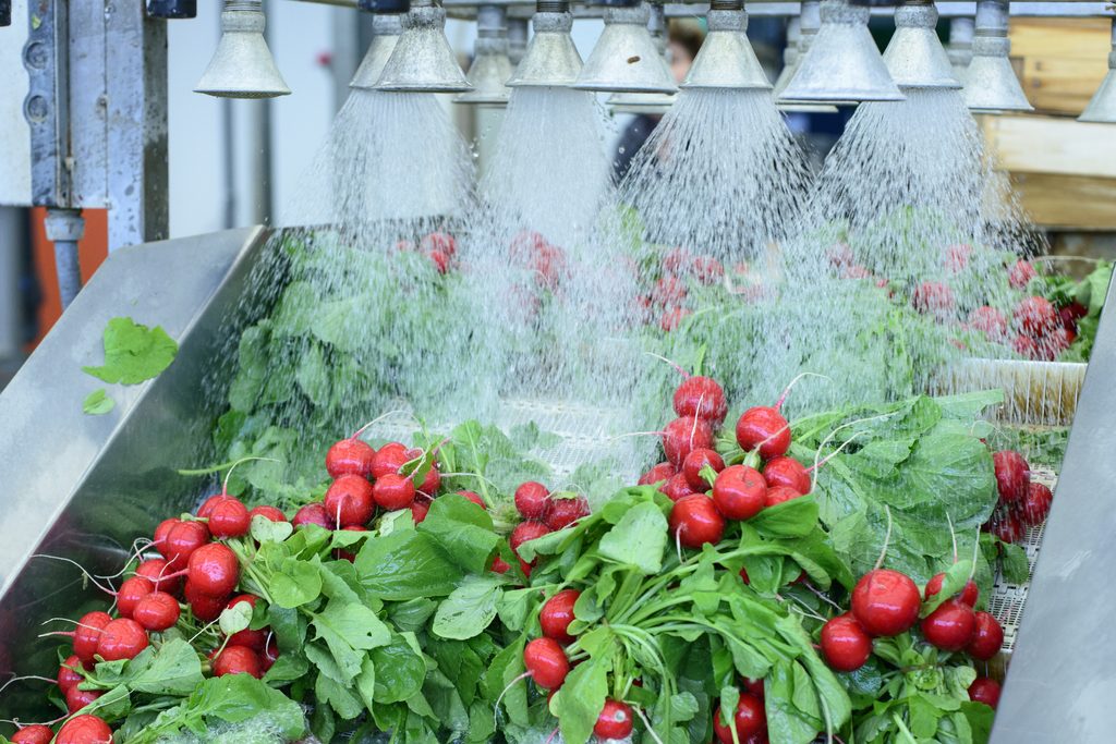 Vertical farming: a growing opportunity