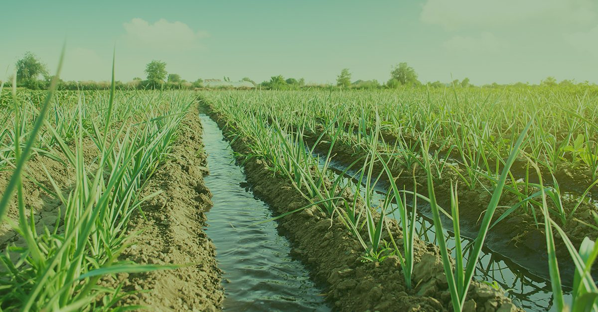 The Importance of Water to Agriculture