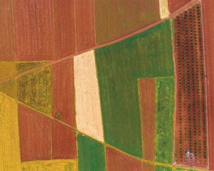 Beyond the boundaries: investment opportunities in a new market regime
