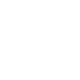 Capital preservation icon