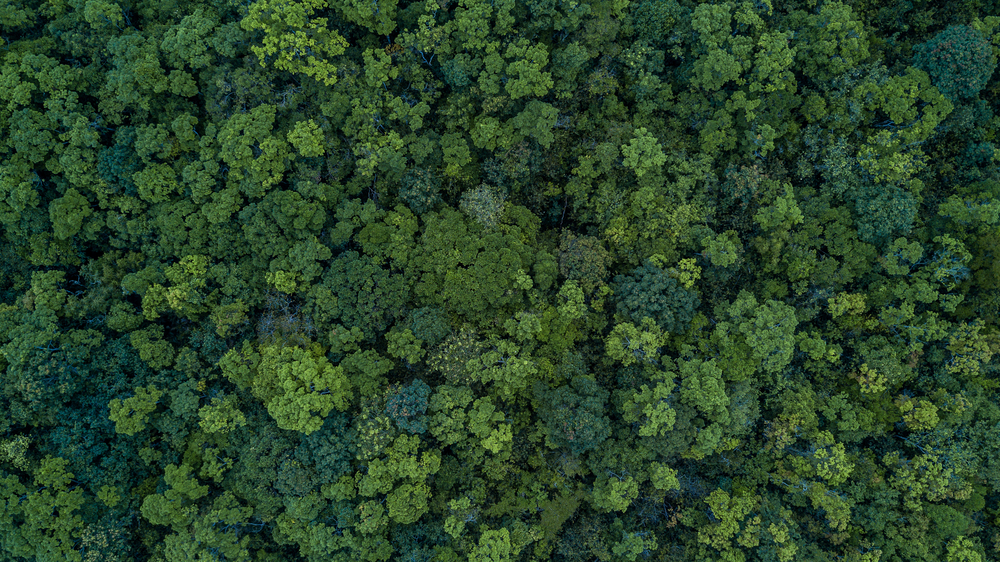 Earth matters