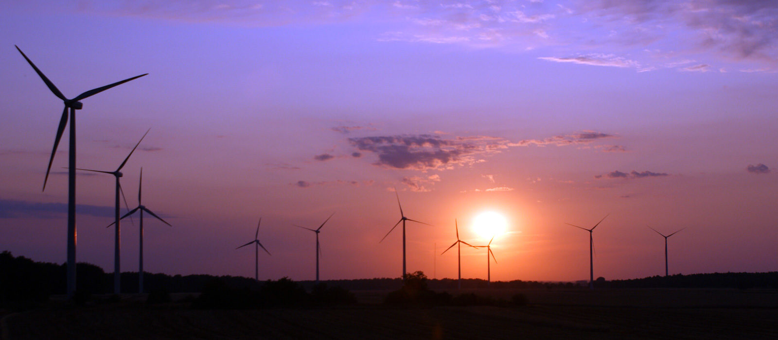 Sustainable U.S Equity