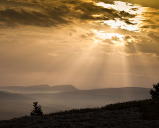 Searching for a silver lining