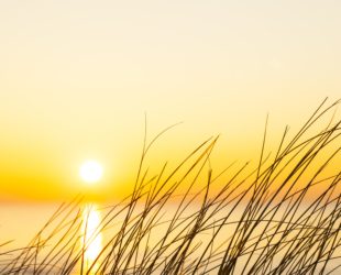 Engaging for a Greener Future