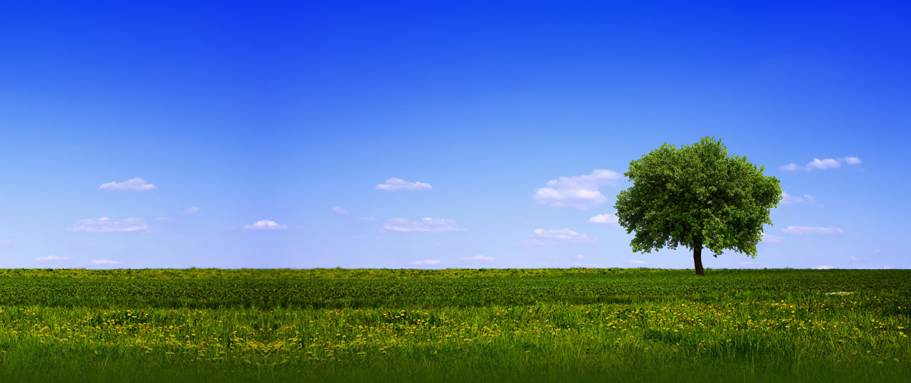Newton Sustainable Growth and Income Fund for Charities