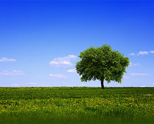 Newton Sustainable Growth and Income Fund for Charities