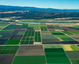 Nature, Outdoors, Field
