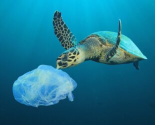 Pushing back on plastic