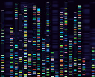 Episode 3: Gene Therapy: Cures, Risks and Opportunities