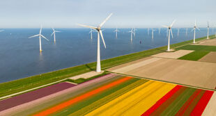 Sustainable bonds: a year of regulatory growth?