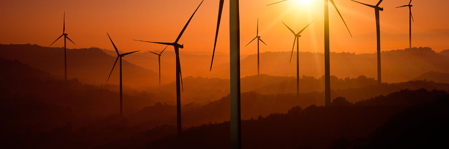 A Balanced Approach to Sustainable Investing