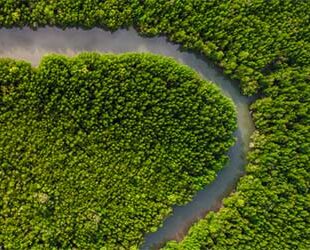 Sovereign sustainability
