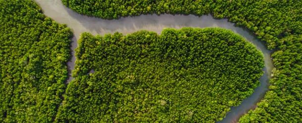 Sovereign sustainability