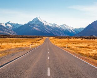 2022: The Investment Road Ahead