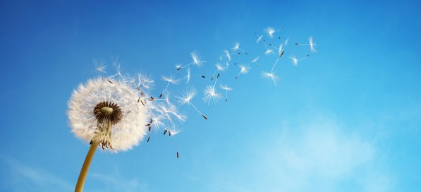 Navigating changing winds