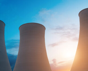 Retake on Double Take: A Nuclear Renaissance?