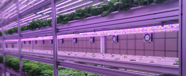 Vertical farming: a growing opportunity