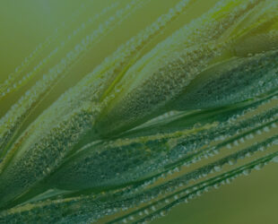 Understanding the Shifting Agricultural Landscape