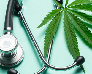 Retake on Double Take: Cannabis Highs and Lows
