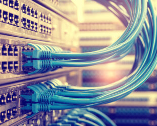 The Environmental Effects of Digitalization